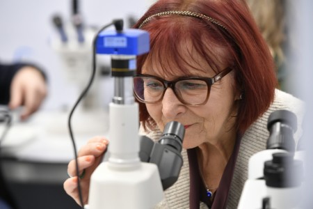 Kliknij, aby powiększyć zdjęcie.