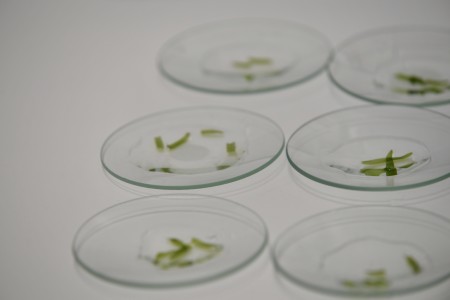 Kliknij, aby powiększyć zdjęcie.