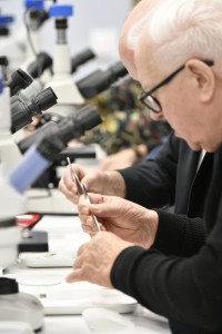 Kliknij, aby powiększyć zdjęcie.