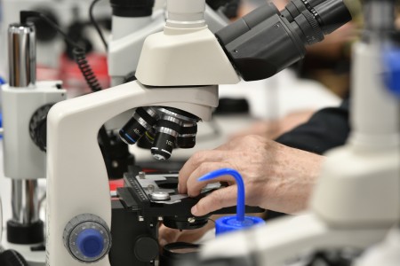 Kliknij, aby powiększyć zdjęcie.