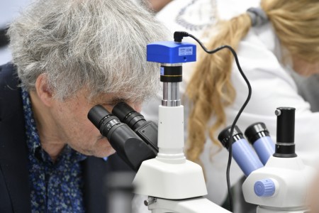 Kliknij, aby powiększyć zdjęcie.