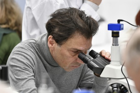 Kliknij, aby powiększyć zdjęcie.