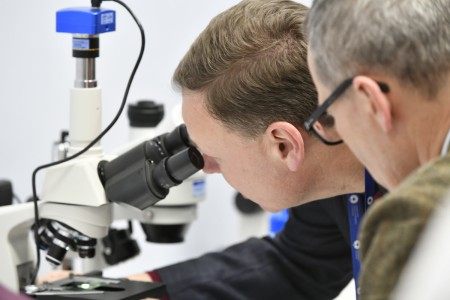 Kliknij, aby powiększyć zdjęcie.