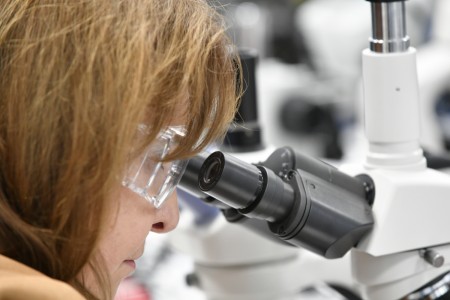 Kliknij, aby powiększyć zdjęcie.