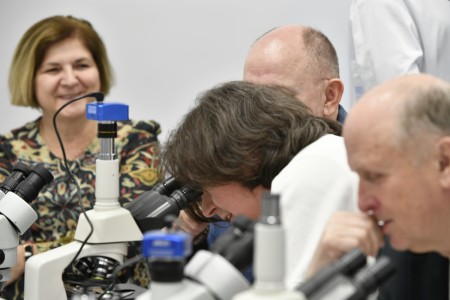 Kliknij, aby powiększyć zdjęcie.