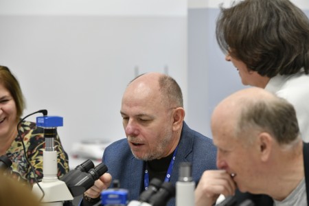 Kliknij, aby powiększyć zdjęcie.