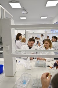 Kliknij, aby powiększyć zdjęcie.