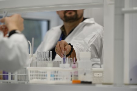 Kliknij, aby powiększyć zdjęcie.