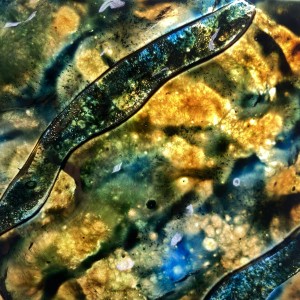 Click to zoom the picture.