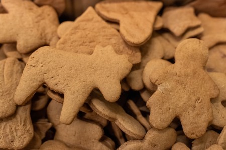 przedświąteczne spotkanie pracowników Collegium Medicum UMK. Kliknij, aby powiększyć zdjęcie.