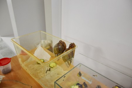 Noc Biologów 2026 [fot. Łukasz Czarnecki]