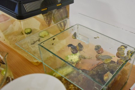 Noc Biologów 2026 [fot. Łukasz Czarnecki]