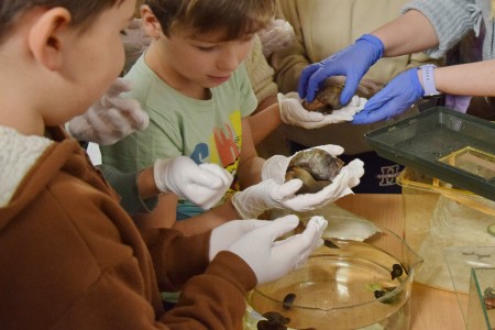 Noc Biologów 2026 [fot. Łukasz Czarnecki]