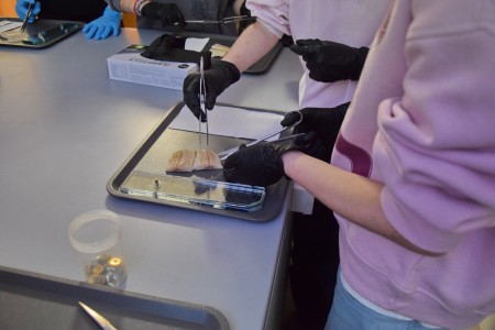 Noc Biologów 2026 [fot. Joanna Czarnecka]