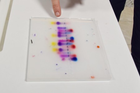 Noc Biologów 2026 [fot. Łukasz Czarnecki]