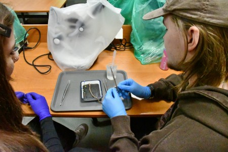 Noc Biologów 2026 [fot. Joanna Czarnecka]