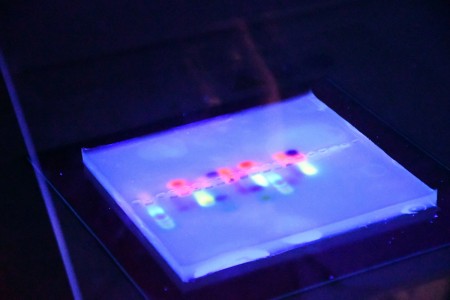 Noc Biologów 2026 [fot. Joanna Czarnecka]