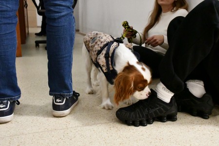 Noc Biologów 2026 [fot. Joanna Czarnecka]