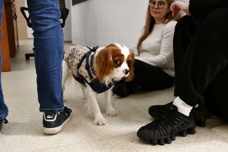 Noc Biologów 2026 [fot. Joanna Czarnecka]