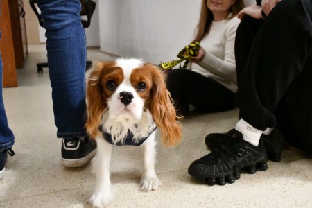 Noc Biologów 2026 [fot. Joanna Czarnecka]