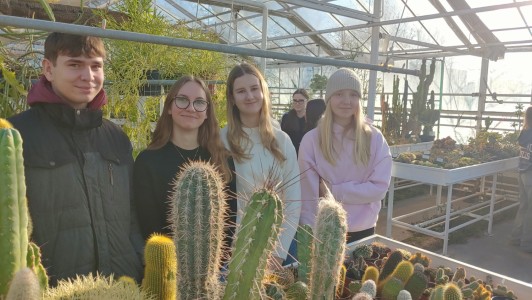 Click to zoom the picture.