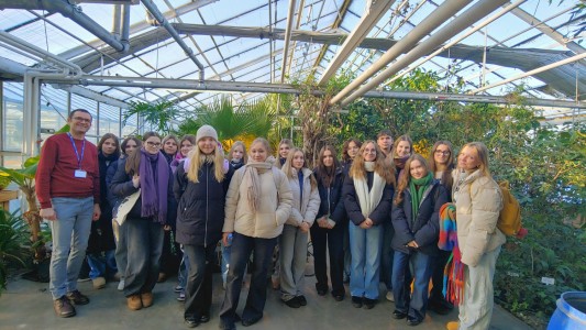 Click to zoom the picture.