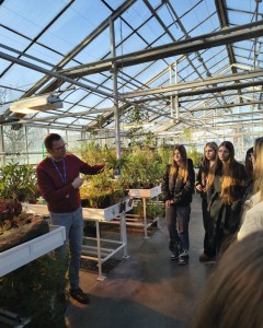 Click to zoom the picture.