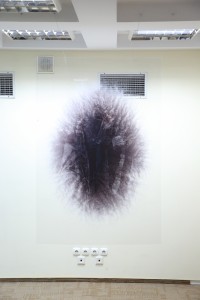 Kliknij, aby powiększyć zdjęcie.