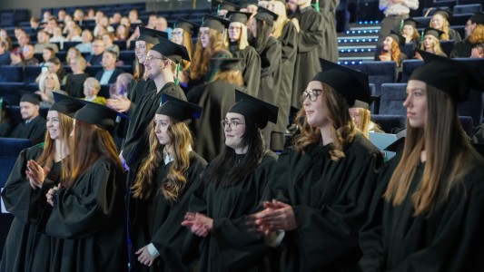 Kliknij, aby powiększyć zdjęcie.