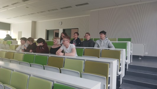 Kliknij, aby powiększyć zdjęcie.