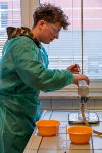 Warsztaty dla uczniów szkół ponadpodstawowych organizowanym przez Wydział Farmaceutyczny UMK CM 16-18 lutego 2026 . Kliknij, aby powiększyć zdjęcie.