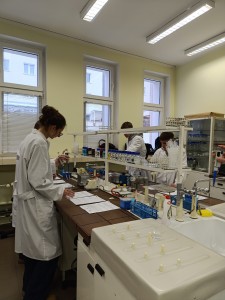 Warsztaty dla uczniów szkół ponadpodstawowych organizowanym przez Wydział Farmaceutyczny UMK CM 16-18 lutego 2026 . Kliknij, aby powiększyć zdjęcie.