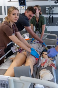 Kliknij, aby powiększyć zdjęcie.