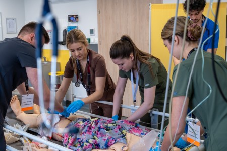 Kliknij, aby powiększyć zdjęcie.