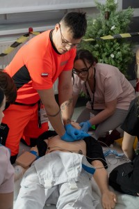 Kliknij, aby powiększyć zdjęcie.