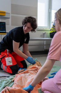 Kliknij, aby powiększyć zdjęcie.