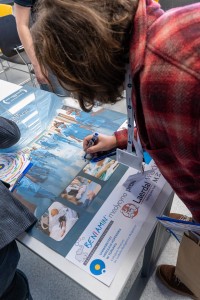 Kliknij, aby powiększyć zdjęcie.