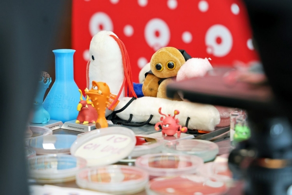 Click to zoom the picture.