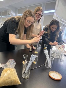 Dzień Otwarty na UMK, kandydaci na studia uczesniczą w warsztatach chemicznych [fot. Artur Borowski]