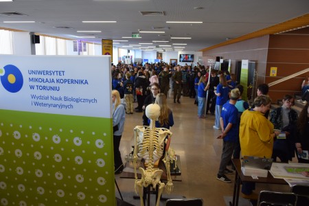 Kliknij, aby powiększyć zdjęcie.