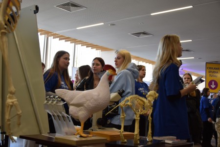 Kliknij, aby powiększyć zdjęcie.