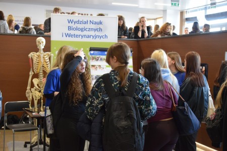 Kliknij, aby powiększyć zdjęcie.