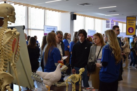 Kliknij, aby powiększyć zdjęcie.