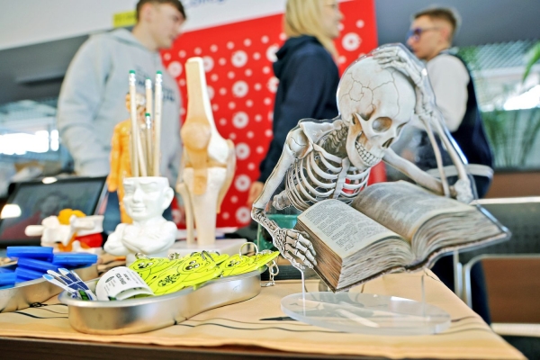 Kliknij, aby powiększyć zdjęcie.