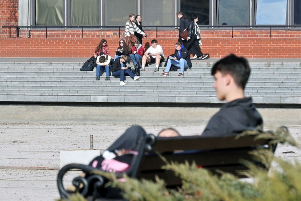 Kliknij, aby powiększyć zdjęcie.