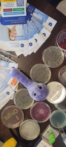 Wszystko o studiowaniu na UMK. Kliknij, aby powiększyć zdjęcie.