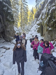 Click to zoom the picture.