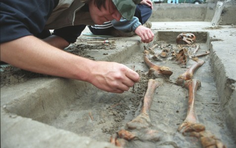 Click to zoom the picture.