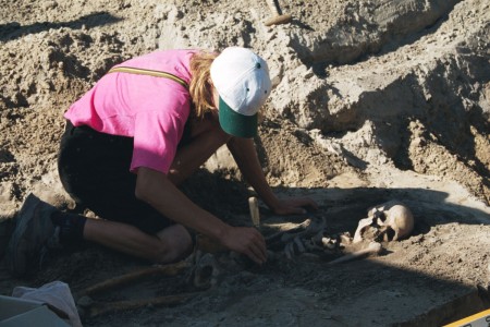 Click to zoom the picture.