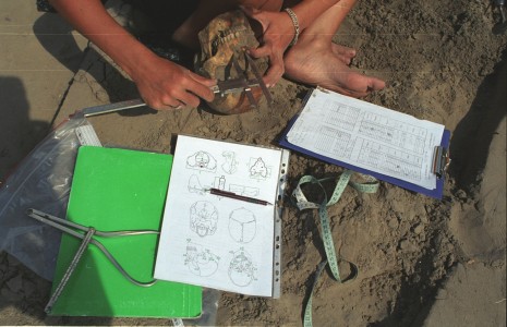 Click to zoom the picture.